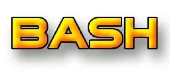 Previous BASH logo. Previous BASH logo,