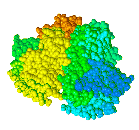 Nitrate Reductase space filling model. Nitrate Reductase space filling model.