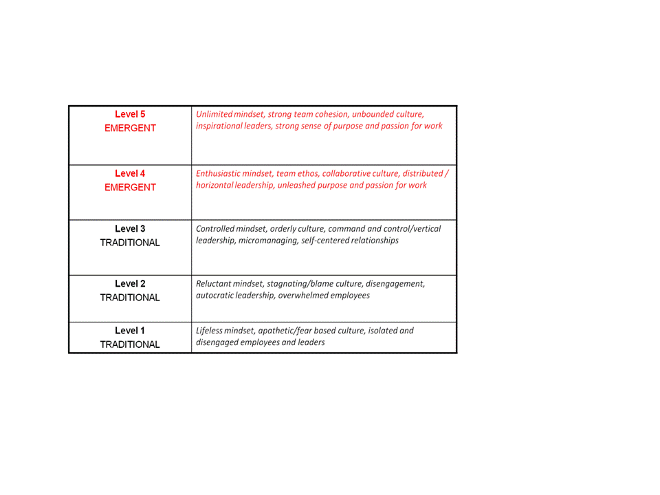 Description of 5 Levels of ELM Description of 5 Levels of ELM