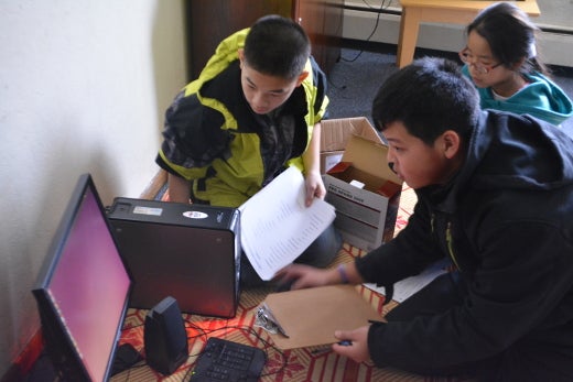 Asian Penguins Asian Penguins