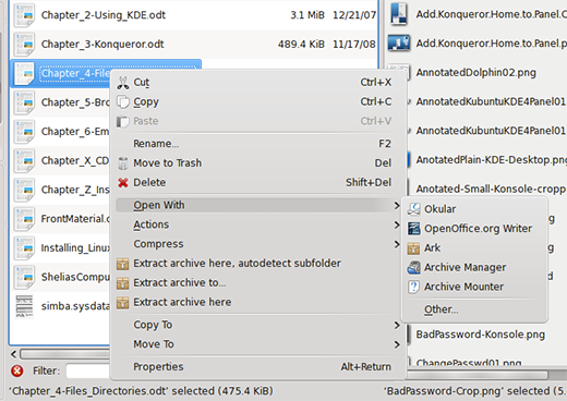 Dolphin Screenshot 16 Dolphin Screenshot 16