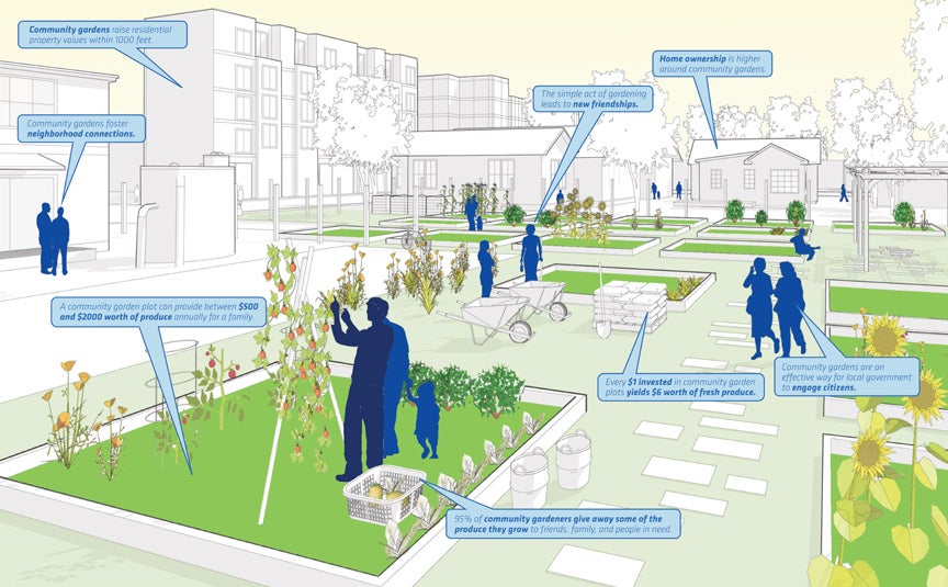 Community garden, sketch and annotated Community garden, sketch and annotated