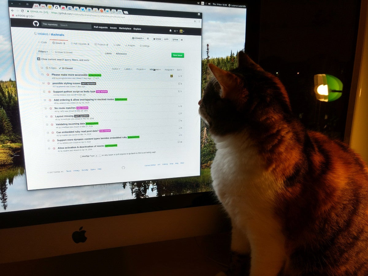 cat debugger