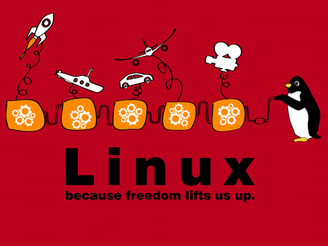 Linux tshirt winner 2