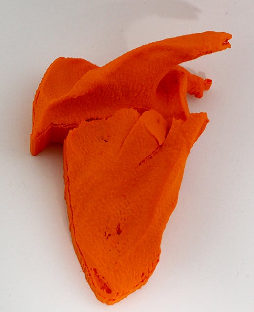 3D printed scapula 3D printed scapula
