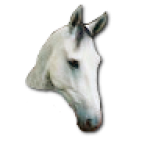 My Horse's head hackergotchi