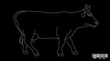 Submit your cow-laboration