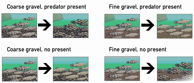 Environmental pressures on fish
