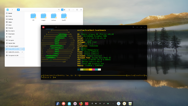 Deepin desktop on Fedora 30