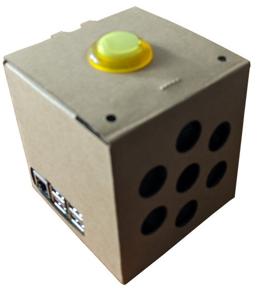 Google AIY Voice Kit