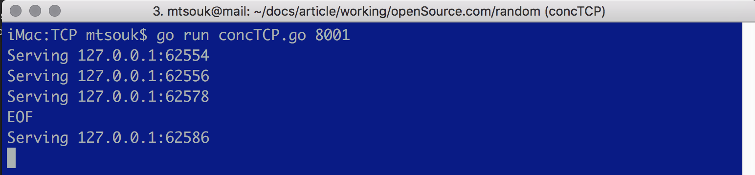 The concTCP.go TCP server in action.